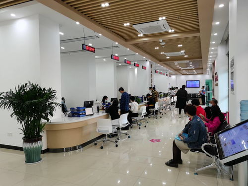 花城街政務(wù)服務(wù)中心新址開放，母嬰室與殘疾人通道全面升級(jí)