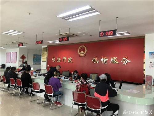 婚登、低保等民政服務(wù)實(shí)現(xiàn)跨區(qū)通辦，詳情請(qǐng)來電咨詢